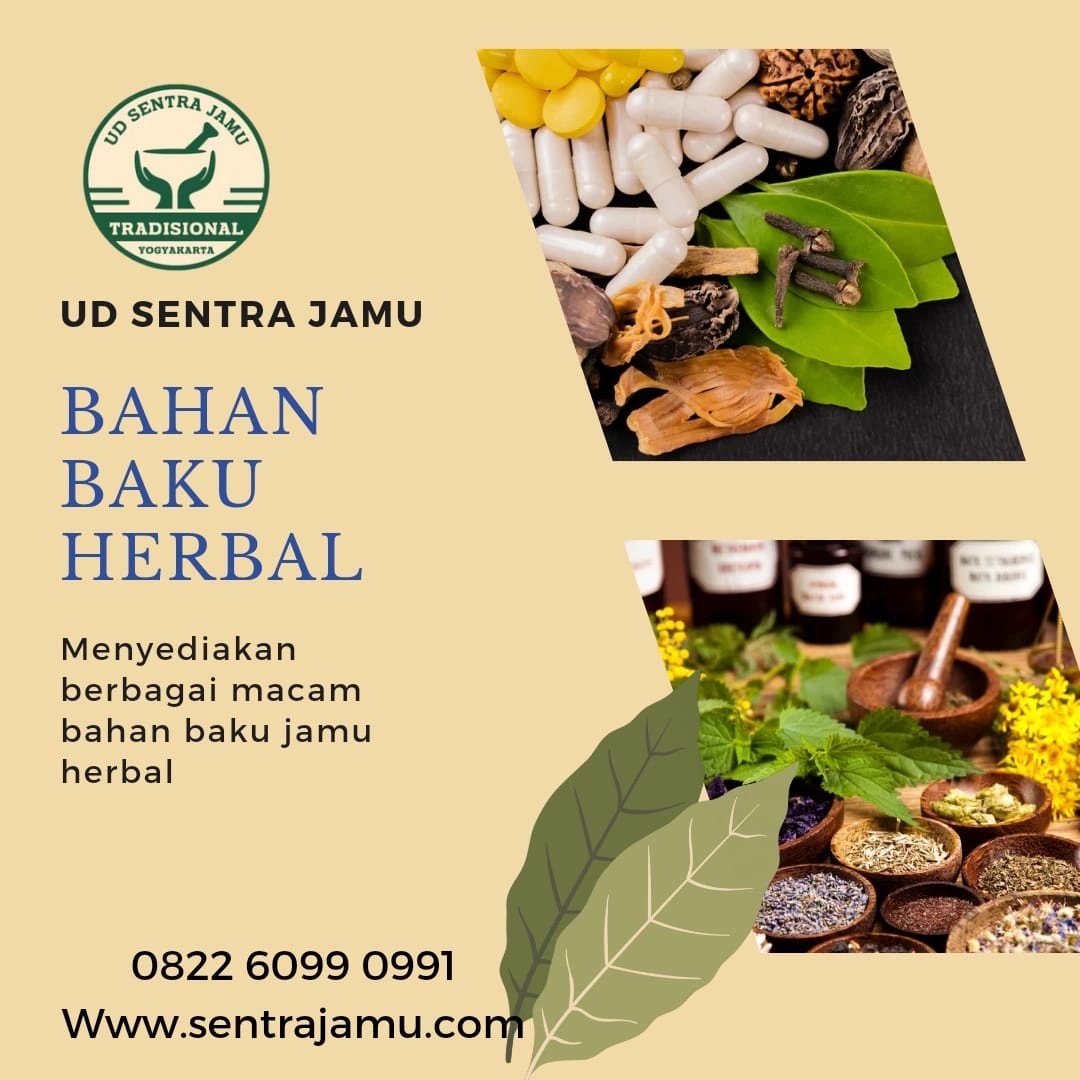 Distributor Daun Sirih Termurah & Terlengkap – UD Sentra Jamu Sleman Jogja