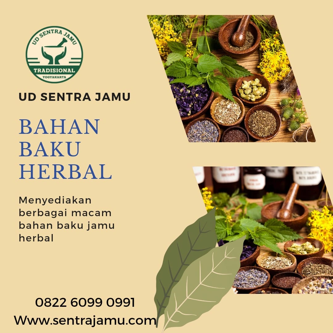 Distributor Kunyit Termurah Terlengkap UD Sentra Jamu Sleman Jogja