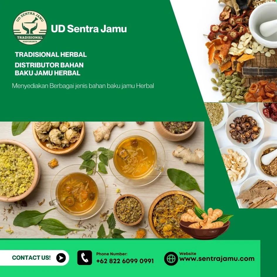 Distributor Kunyit Termurah/Terlengkap – UD Sentra Jamu Sleman Jogja