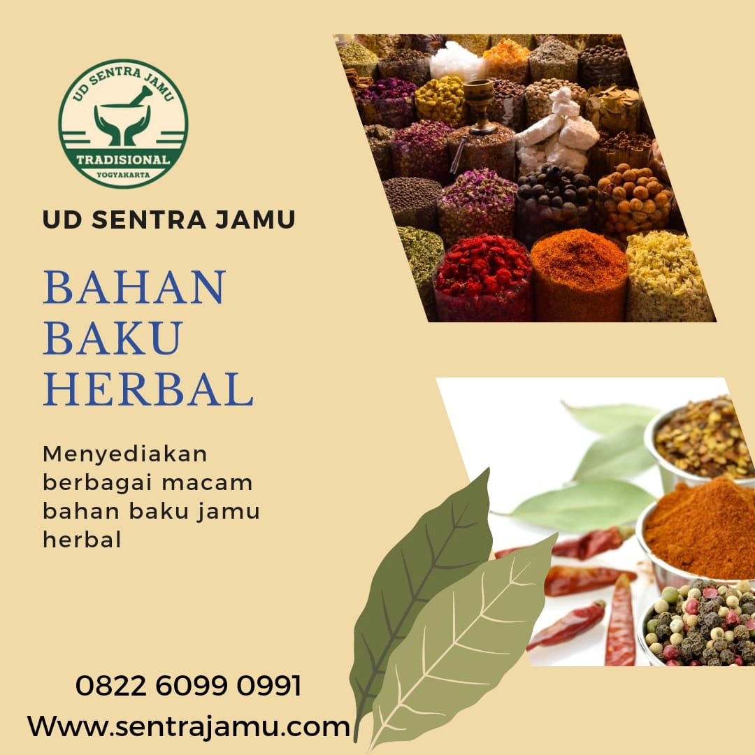 Distributor Meniran Termurah & Terlengkap – UD Sentra Jamu Sleman Jogja