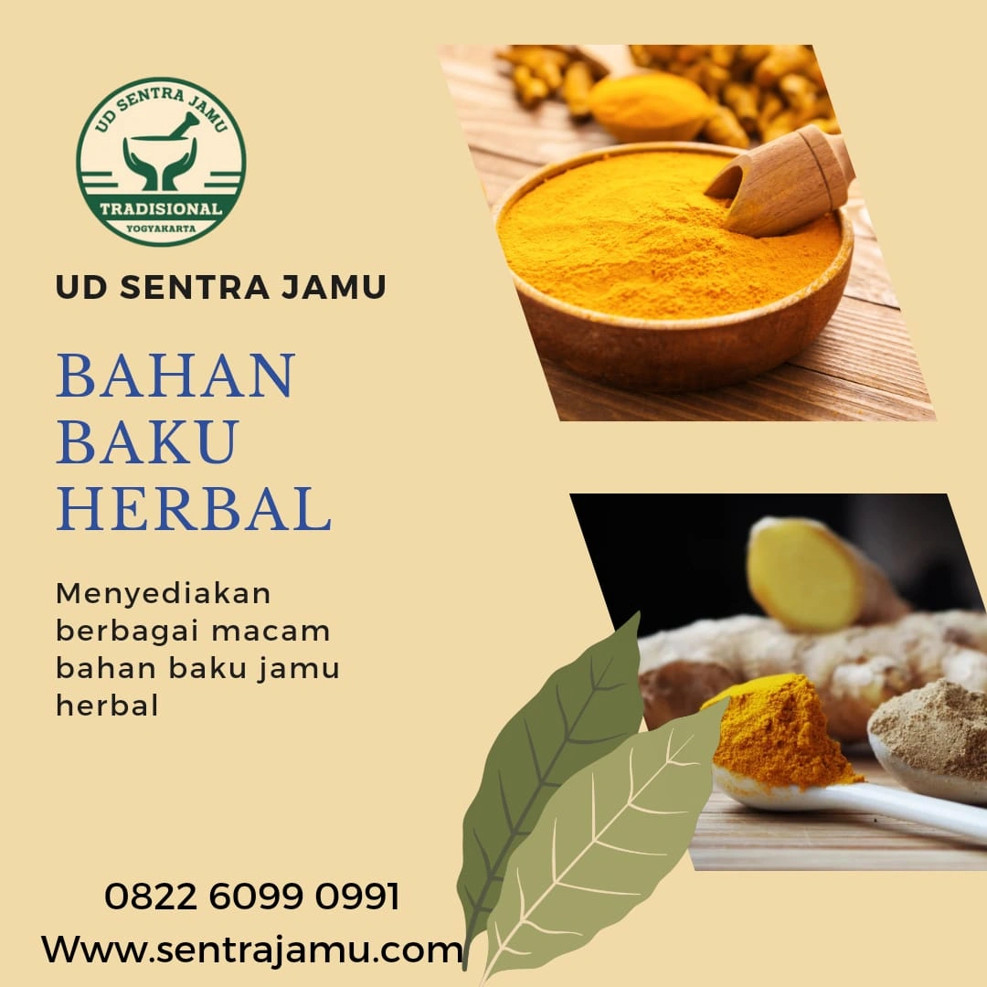 Distributor Temulawak Termurah & Terlengkap – UD Sentra Jamu Sleman Jogja