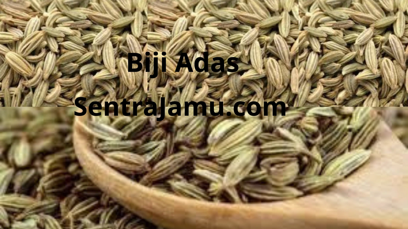 distributor-adas-termurah-terlengkap-ud-sentra-jamu-sleman-jogja