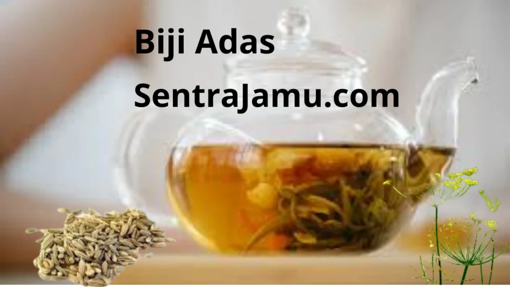 minuman herbal biji adas