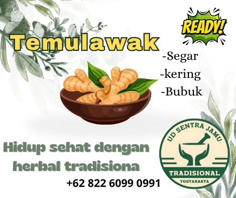 Distributor Temulawak Termurah & Terlengkap – UD Sentra Jamu