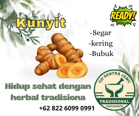 Distributor Kunyit Termurah & Terlengkap – UD Sentra Jamu