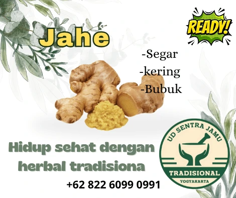 Distributor Jahe Termurah & Terlengkap – UD Sentra Jamu