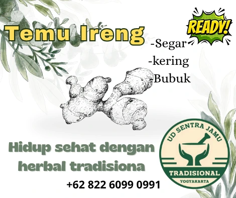 Distributor Temu Ireng Termurah & Terlengkap – UD Sentra Jamu