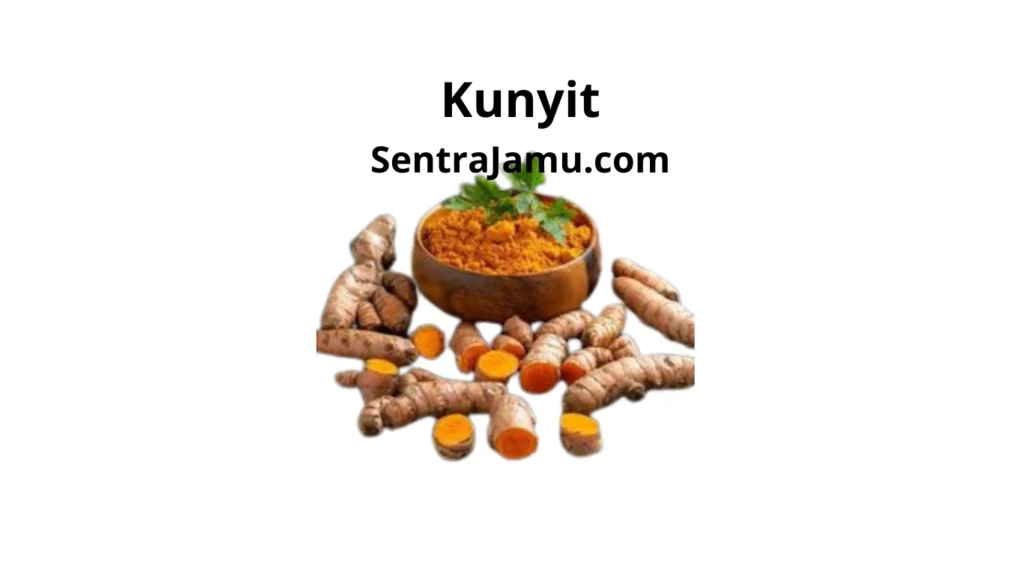 manfaat kunyit untuk kesehatan